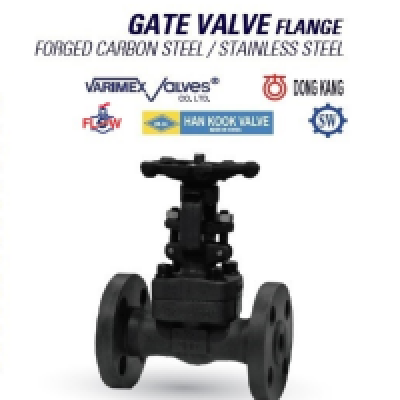 "DONG KANG" FORGED STEEL BODY GATE VALVE, 25mm