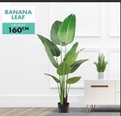 Artificial Plant (Banana Leaf)