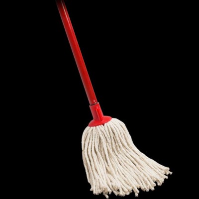 MOP WITH HANDLE