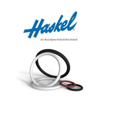 Haskel M-188 Pump Fluid Section Seal Kit, Part No. 17179-188