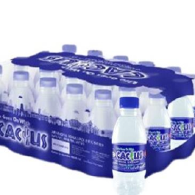 CACTUS MINERAL WATER 250ML x 48 BOTTLES