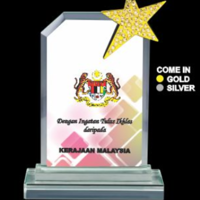 Exclusive Star Award