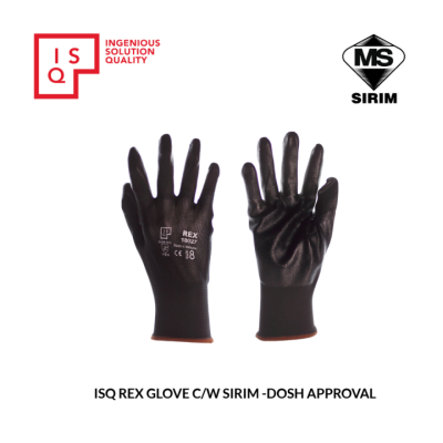 ISQ Rex Hand Glove, Size L