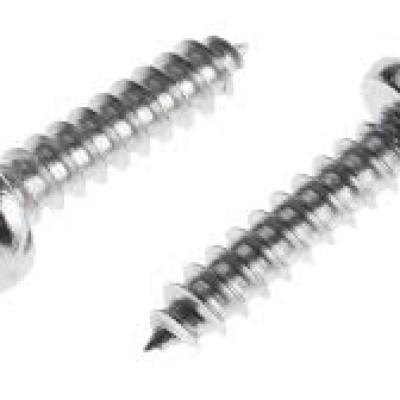 SCREW, SELF-TAPPING, SLOTTED ROUND HEAD, SS, 30MM X 6MM, ISO 10474