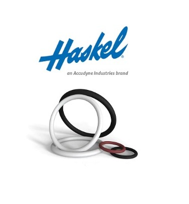 Haskel M-188 Pump Fluid Section Seal Kit, Part No. 17179-188