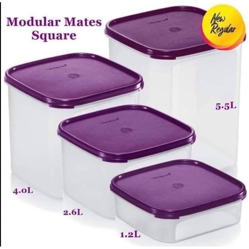 Tupperware Modular Mates Square (4.0L)