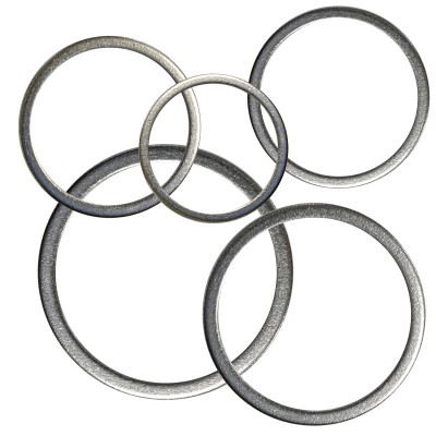 DSH: SS316L HEADER PLUG GASKET