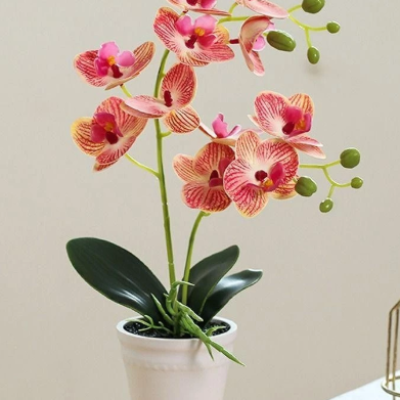 Realistic Artificial Orchid Bonsai Potted- red