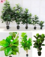 Artificial Plant (Fiddle fig)