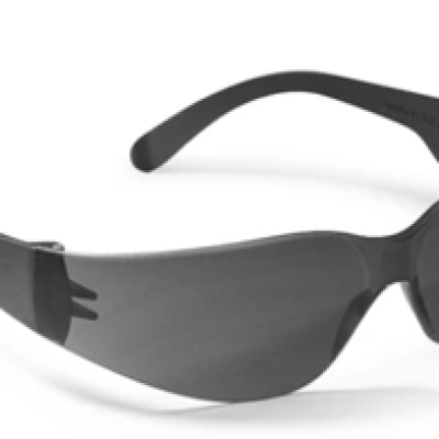 SAFETY SPECTACLES, PROGUARD SL-4683