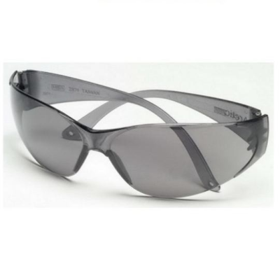 MSA 697515 Arctic Spectacles, Gray, Outdoor