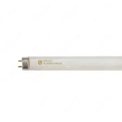 Fluorescent Tubes Model : FL-8D 8W ( 23 )