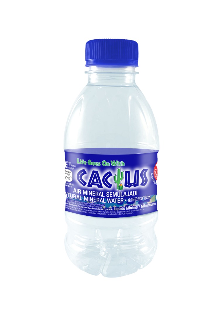 Cactus Natural Mineral Water (48 x 250ml)