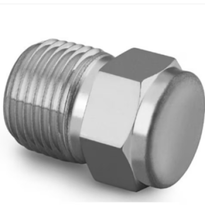 *Swagelok Stainless Steel Pipe Fitting, Pipe Plug, 1 2 in. Male NPT [P N:SS-8-P]