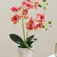 Realistic Artificial Orchid Bonsai Potted- red